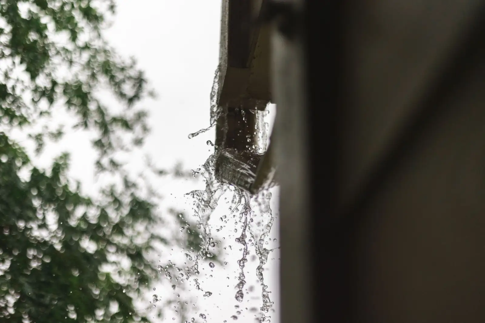 Eau de pluie qui déborde et gicle d'une gouttière pendant une averse, feuillage flou à l'arrière-plan