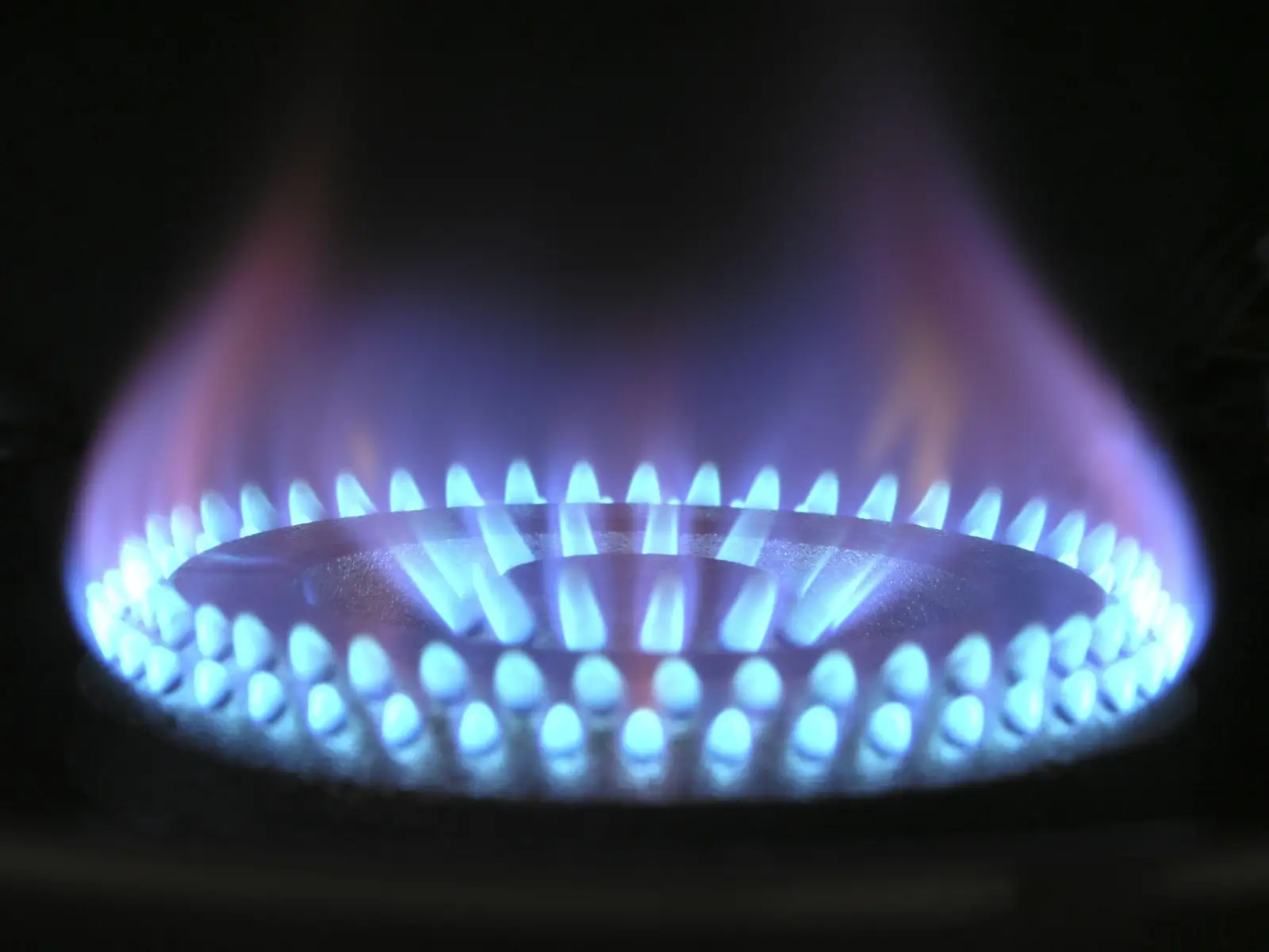 Flamme bleue d'un brûleur à gaz en gros plan
