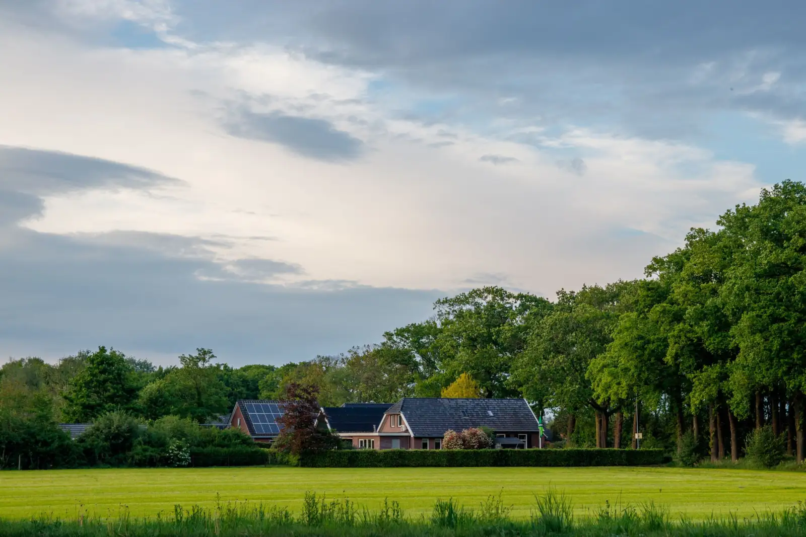 Maison isolée avec panneaux solaires sur le toit, entre une prairie fauchée et un bois